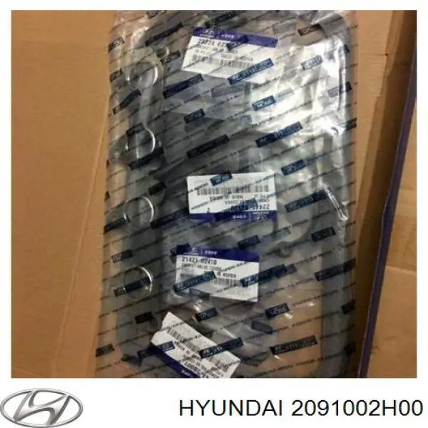 2091002H00 Hyundai/Kia juego de juntas de motor, completo