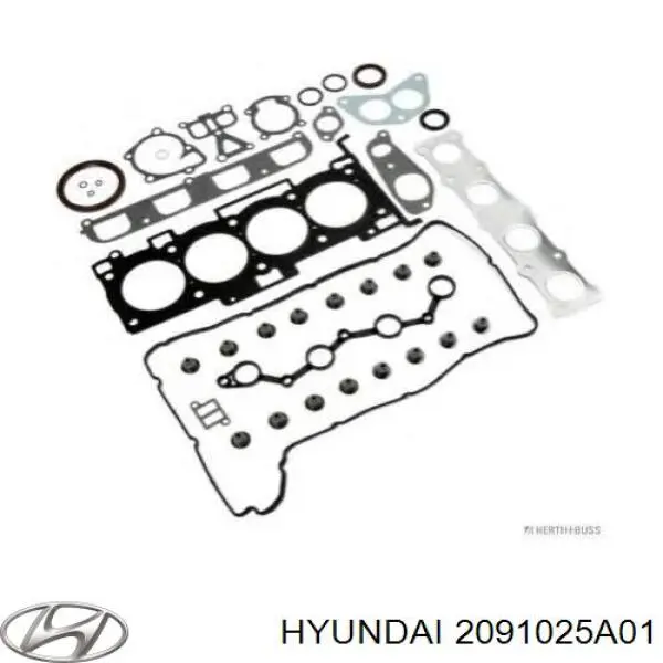 2091025A01 Hyundai/Kia juego de juntas de motor, completo