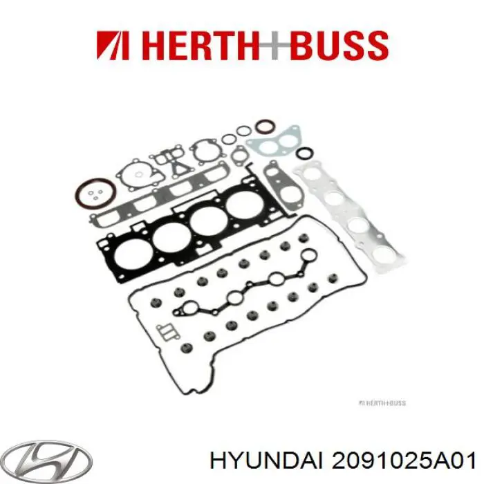 Kit completo de juntas Hyundai/Kia 2091025A01 precio, desde 92,26 EUR