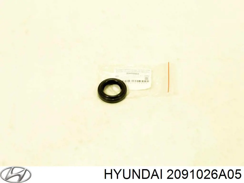 2091026A05 Hyundai/Kia juego de juntas de motor, completo