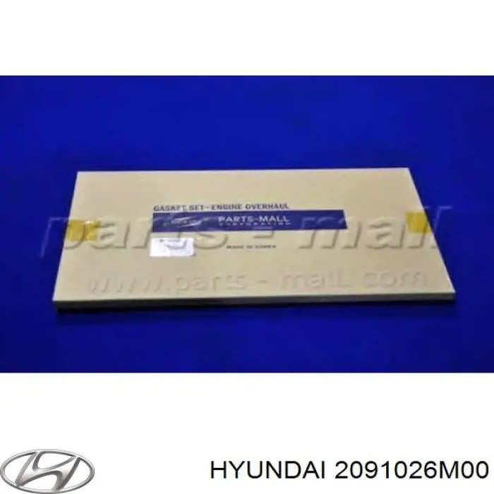 2091026M00 Hyundai/Kia juego de juntas de motor, completo