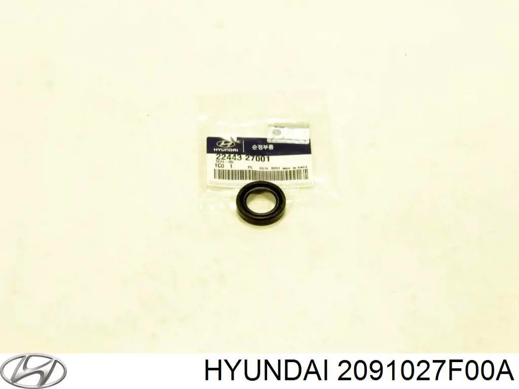 2091027F00A Hyundai/Kia juego de juntas de motor, completo