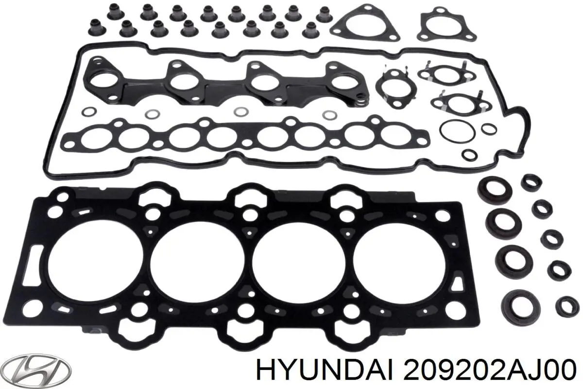 209202AJ00 Hyundai/Kia