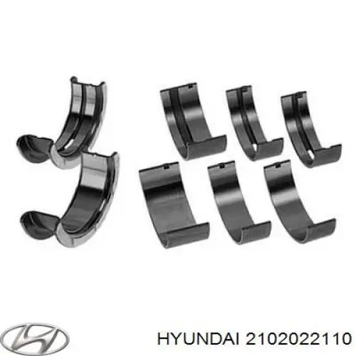 2102022110 Hyundai/Kia