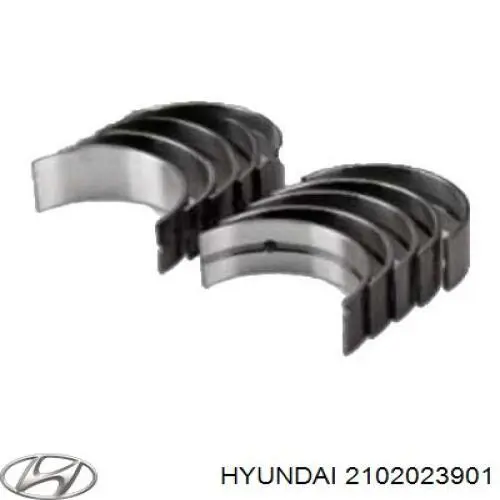 2102023901 Hyundai/Kia juego de cojinetes de cigüeñal, cota de reparación +0,25 mm