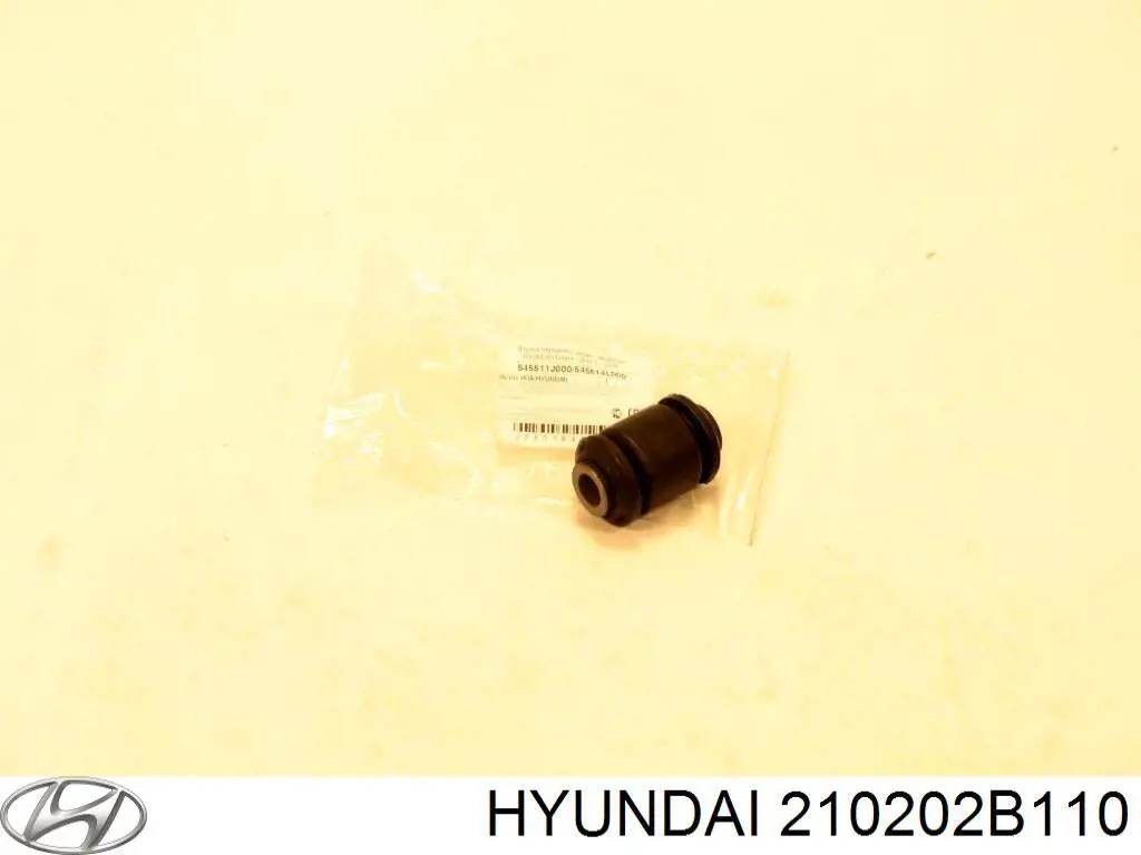 210202B110 Hyundai/Kia