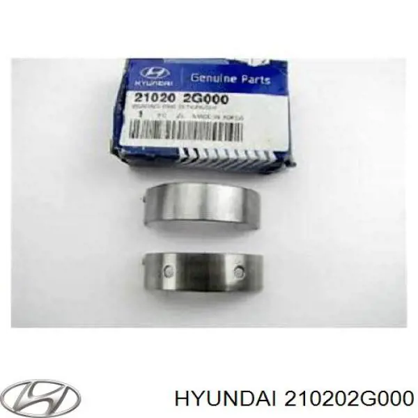 210202G000 Hyundai/Kia juego de cojinetes de cigüeñal, estándar, (std)