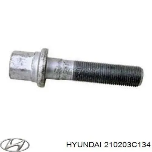 210203C330 Hyundai/Kia juego de cojinetes de cigüeñal, estándar, (std)