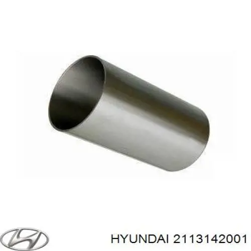 Camisa del cilindro para Hyundai Terracan (HP)