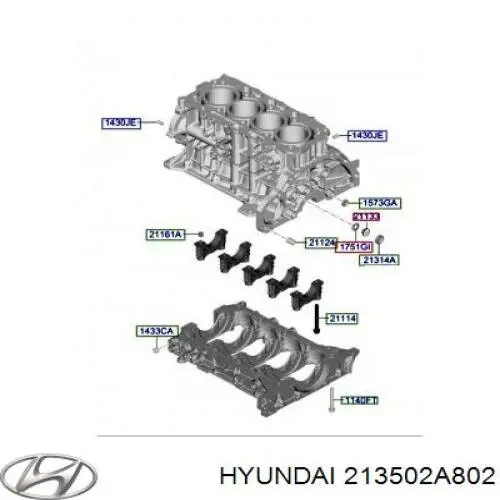 213502A802 Hyundai/Kia