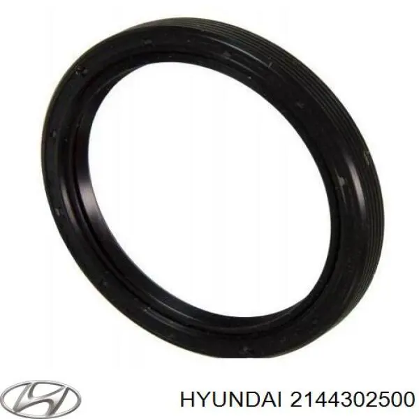 2144302500 Hyundai/Kia anillo retén, cigüeñal