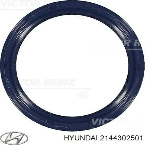 Retén del cigüeñal Hyundai/Kia 2144302501 precio, desde 8,09 EUR