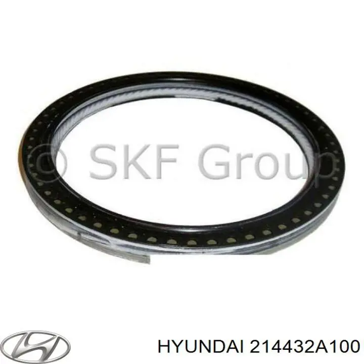 Anillo retén, cigüeñal Hyundai Santa Fe 3 DM