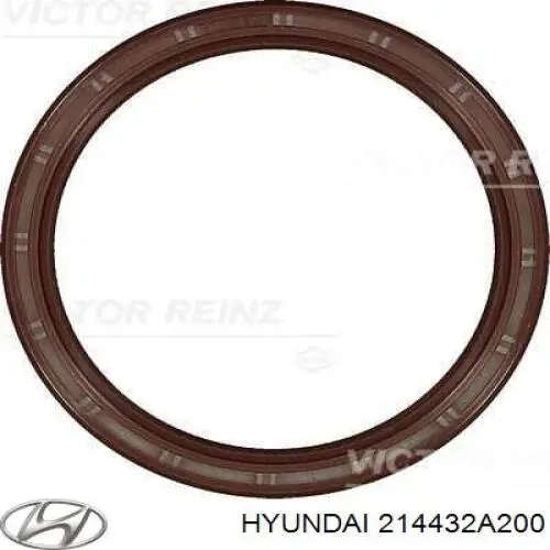 Retén del cigüeñal Hyundai/Kia 214432A200 precio, desde 15,55 EUR
