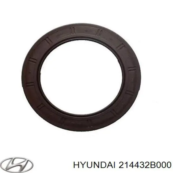 214432B000 Hyundai/Kia anillo retén, cigüeñal