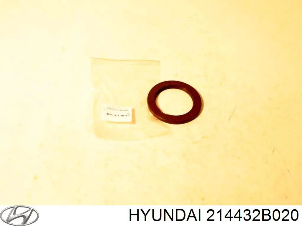214432B020 Hyundai/Kia anillo retén, cigüeñal