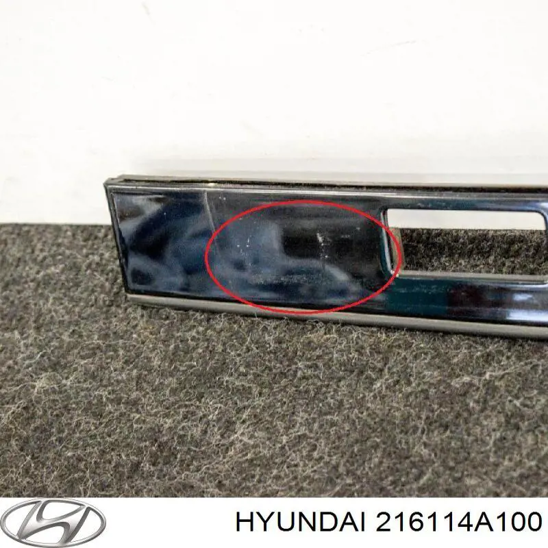 216114A100 Hyundai/Kia