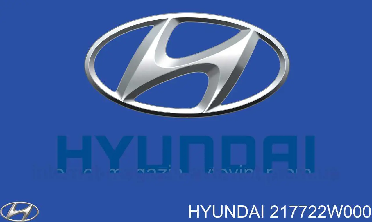 217722W000 Hyundai/Kia suspensión, cuerpo del eje trasero