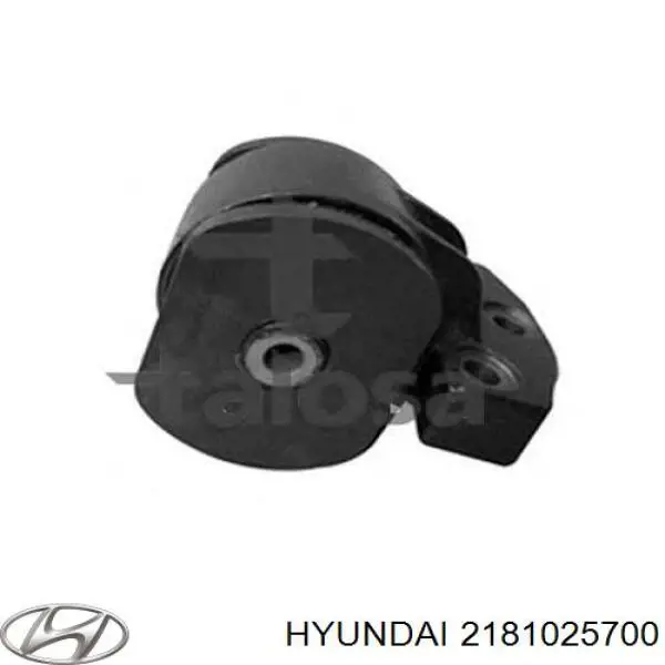 2181025700 Hyundai/Kia