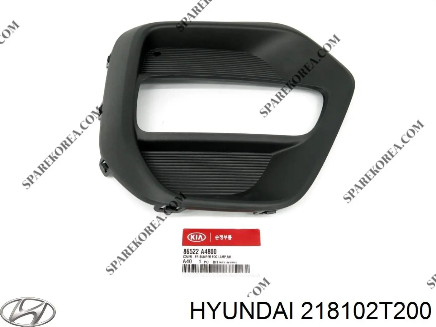 218102T200 Hyundai/Kia Soporte de motor derecho