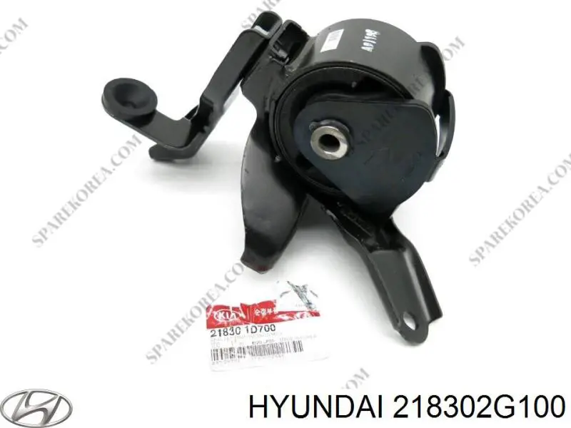 218302G100 Hyundai/Kia