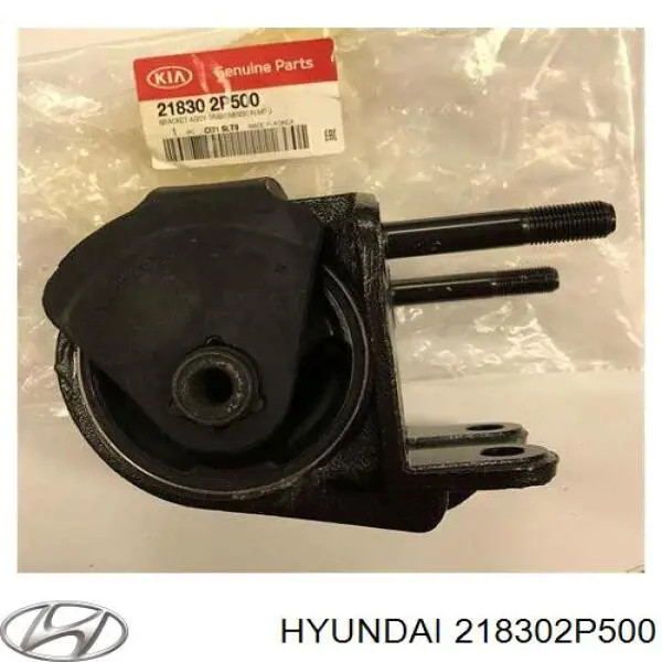 218302P500 Hyundai/Kia