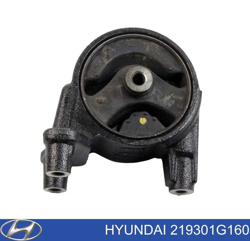 219301G160 Hyundai/Kia Taco de motor