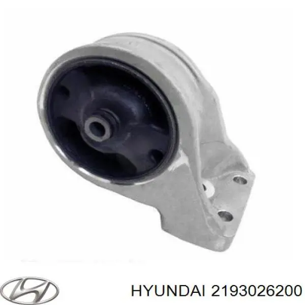 2193026200 Hyundai/Kia rodillo, cadena de distribución