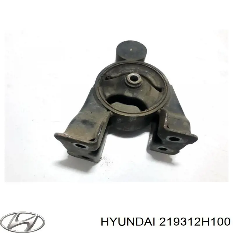 219312H100 Hyundai/Kia