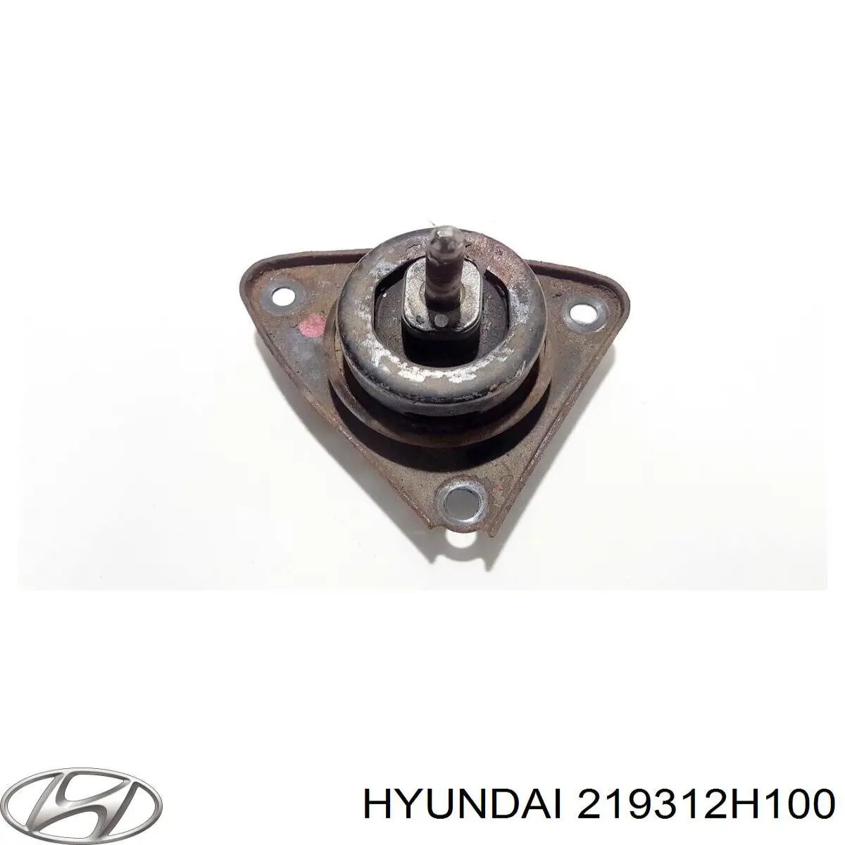 219312H100 Hyundai/Kia 