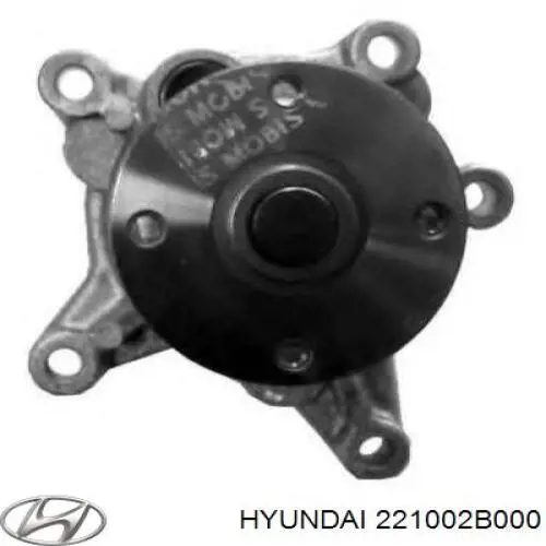 221002B101 Hyundai/Kia culata