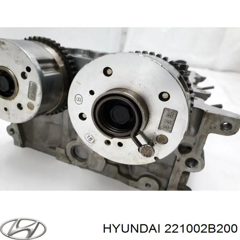 221002B200 Hyundai/Kia culata