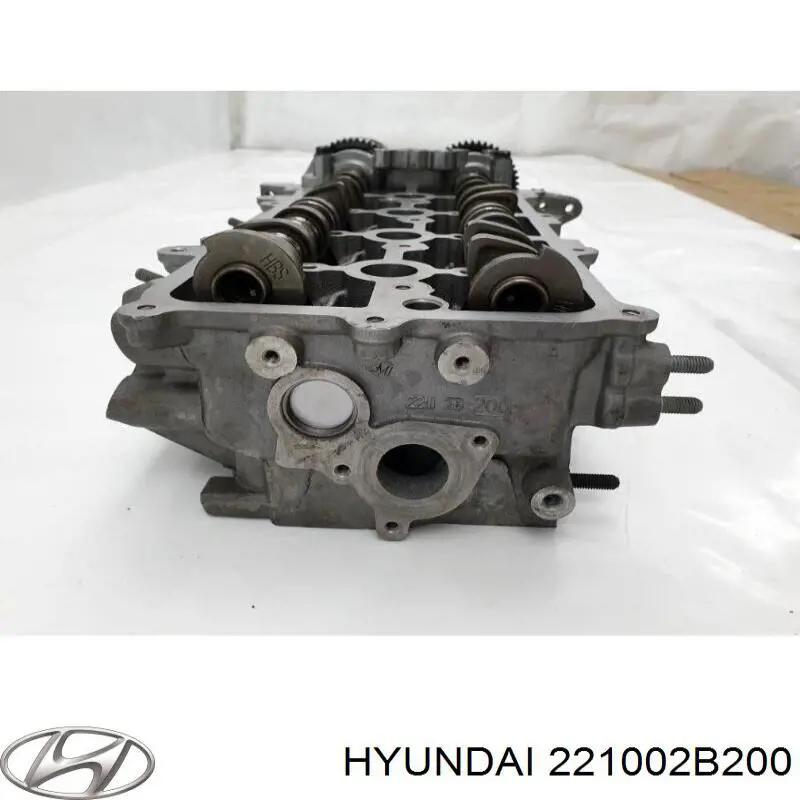 Cabeza de cilindro Hyundai/Kia 221002B200 precio, desde 386,23 EUR