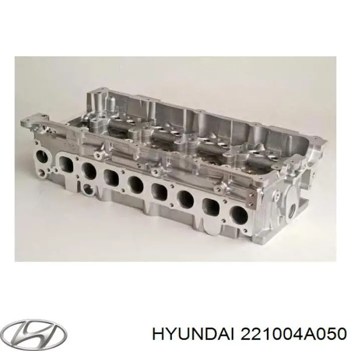 221004A050 Hyundai/Kia culata