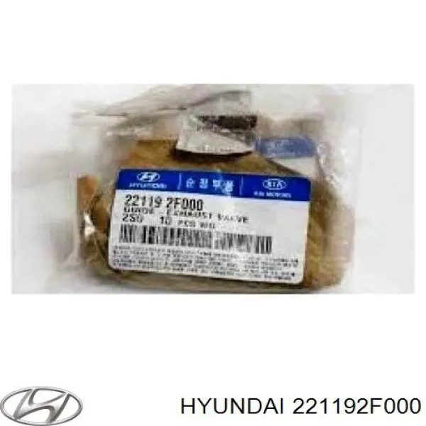 221192F000 Hyundai/Kia guía de válvula de escape