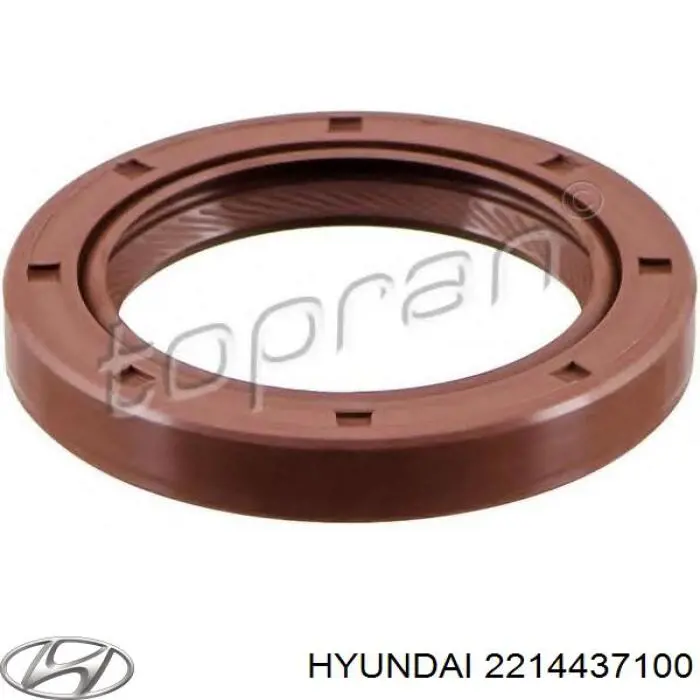 Comprar 2214437100 Hyundai/Kia Retén delantero del árbol de levas