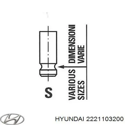 2221103201 Hyundai/Kia válvula de admisión