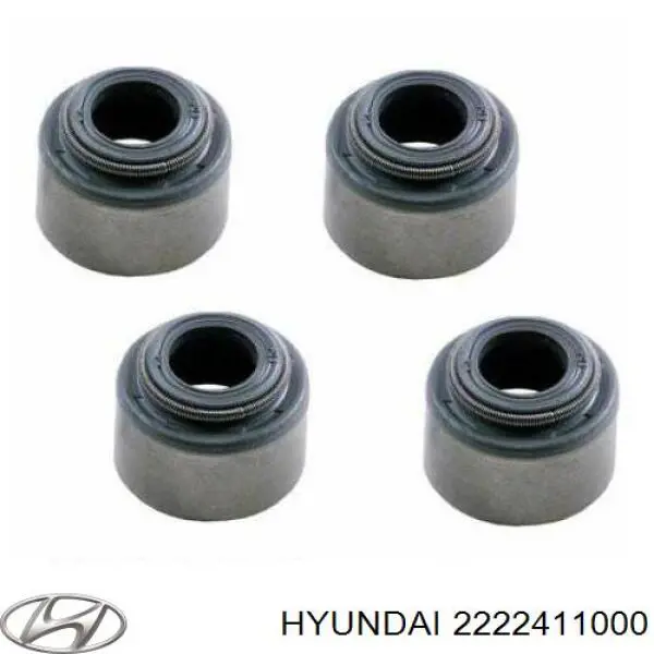 2222411000 Hyundai/Kia sello de aceite de valvula (rascador de aceite Entrada/Salida)