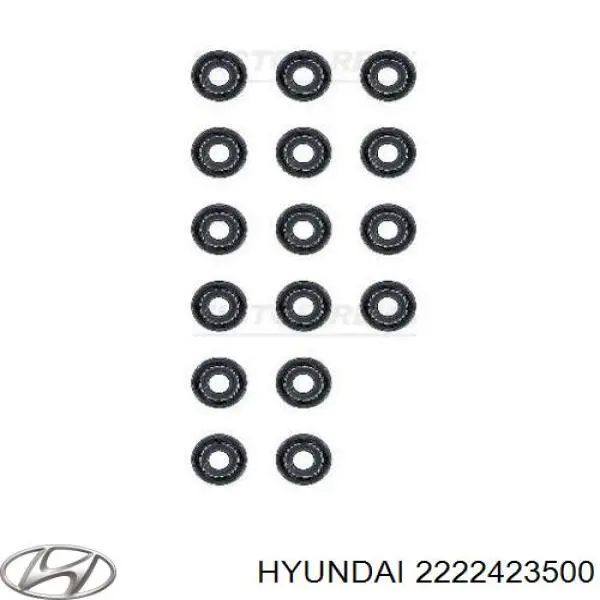 2222423500 Hyundai/Kia Empaquetadura De Aceite De Valvula