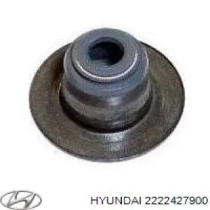 Sello De Aceite De Valvula (Rascador De Aceite) Entrada/Salida para Hyundai Grandeur (TG)