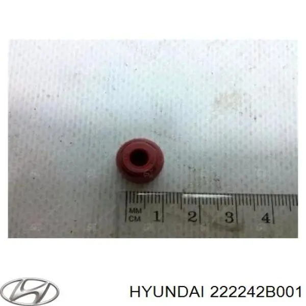 Retén de válvula de escape Hyundai/Kia 222242B001 precio, desde 2,27 EUR