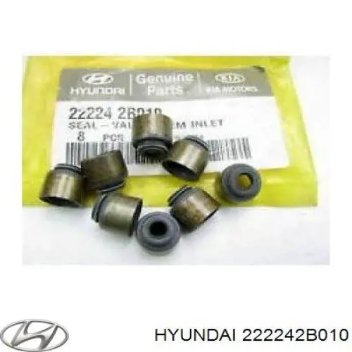 22224-2B010 Hyundai/Kia valvula de admision (rascador de aceite)