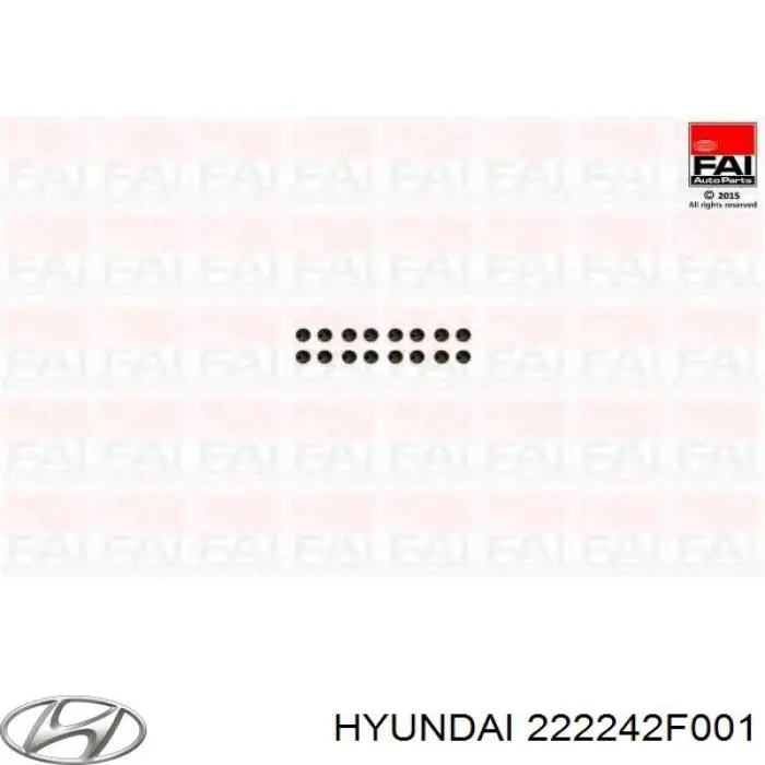 Retenes de válvulas Hyundai/Kia 222242F000 precio, desde 2,20 EUR