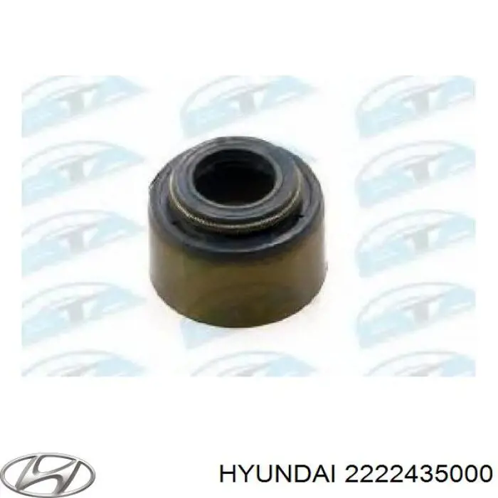 2222435000 Hyundai/Kia sello de aceite de valvula (rascador de aceite Entrada/Salida)