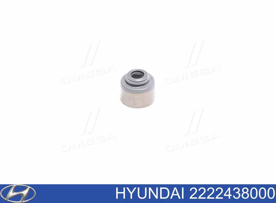 Comprar 2222438000 Hyundai/Kia Sello De Aceite De Valvula (Rascador De Aceite) Entrada/Salida