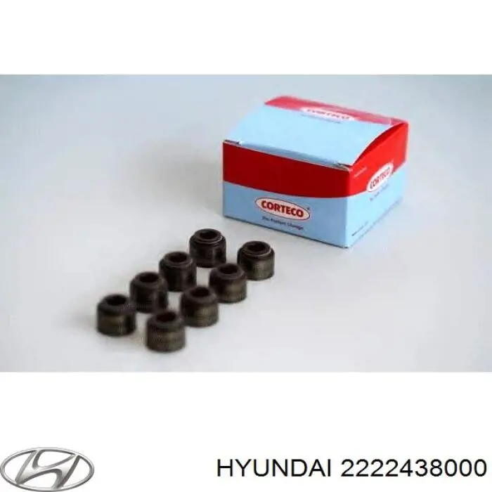 2222438000 Hyundai/Kia sello de aceite de valvula (rascador de aceite Entrada/Salida)