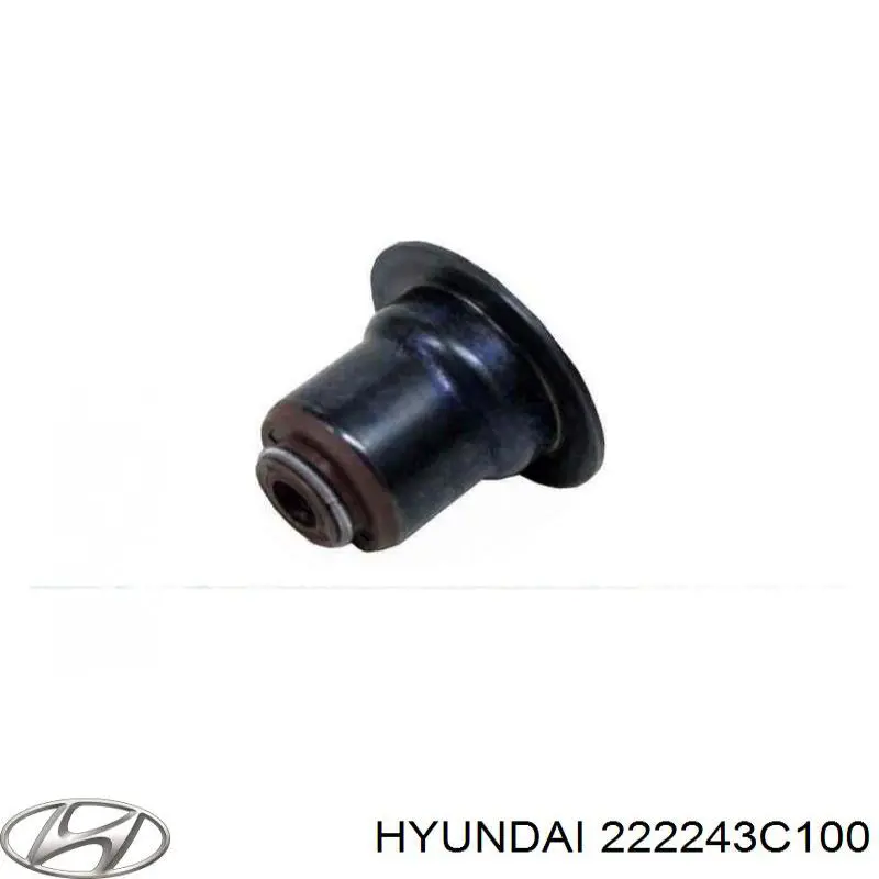 222243CAA0 Hyundai/Kia sello de aceite de valvula (rascador de aceite Entrada/Salida)