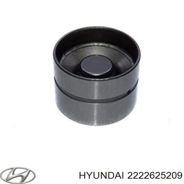 2222625009 Hyundai/Kia