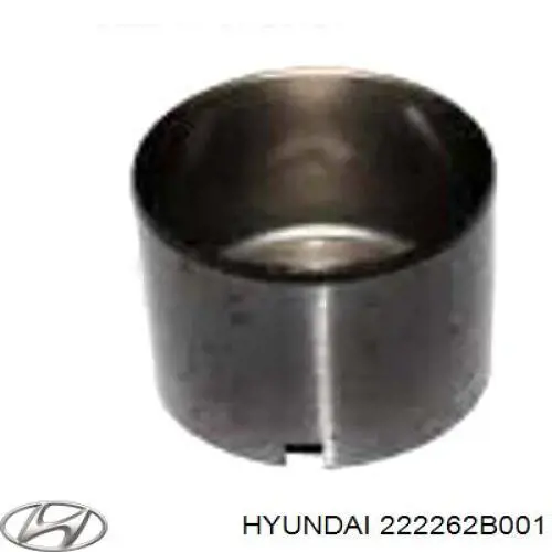 222262B201 Hyundai/Kia Taqués de motor