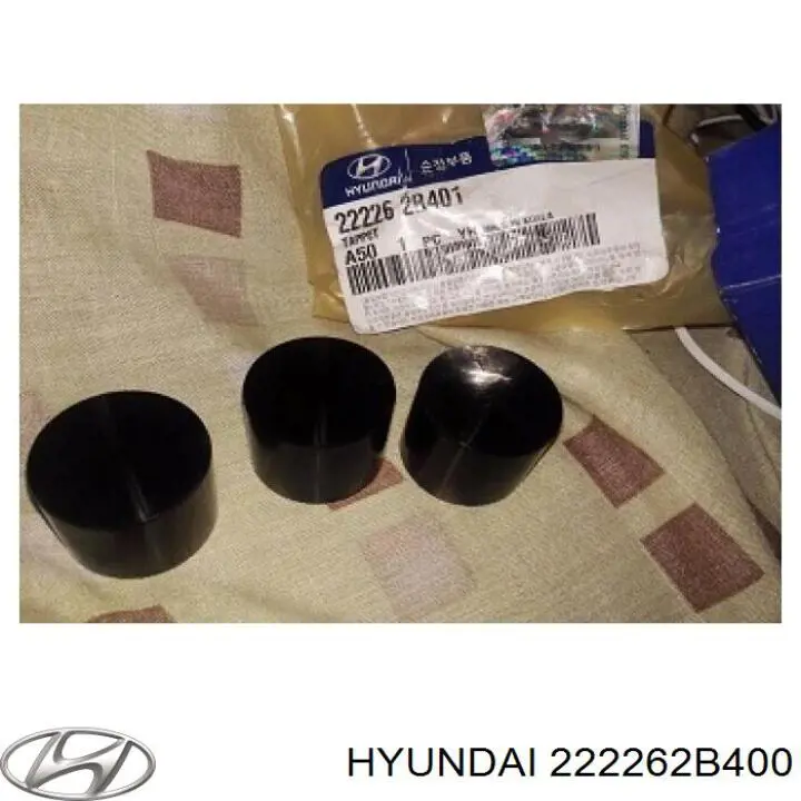 222262B400 Hyundai/Kia